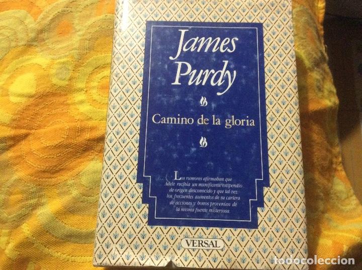 Libros de segunda mano: CAMINO DE LA GLORIA - JAMES PURDY - EDITORIAL VERSAL - Foto 1