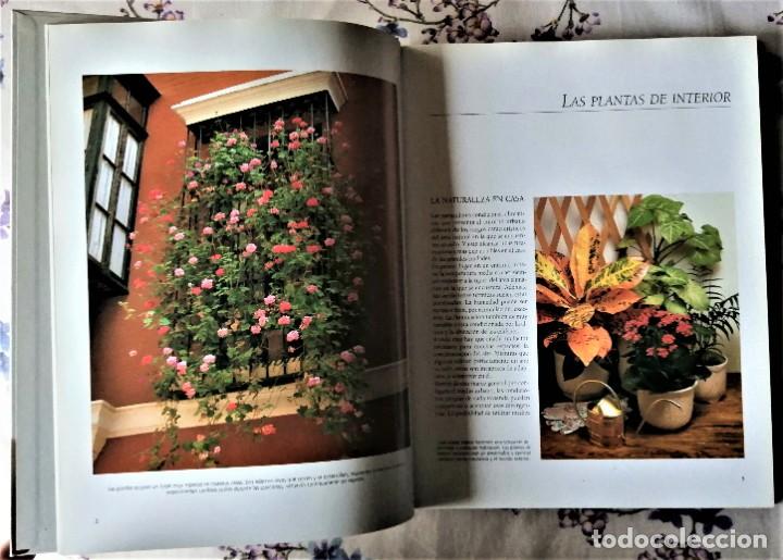 Libros de segunda mano: EL GRAN LIBRO DE LA JARDINERIA - Foto 4