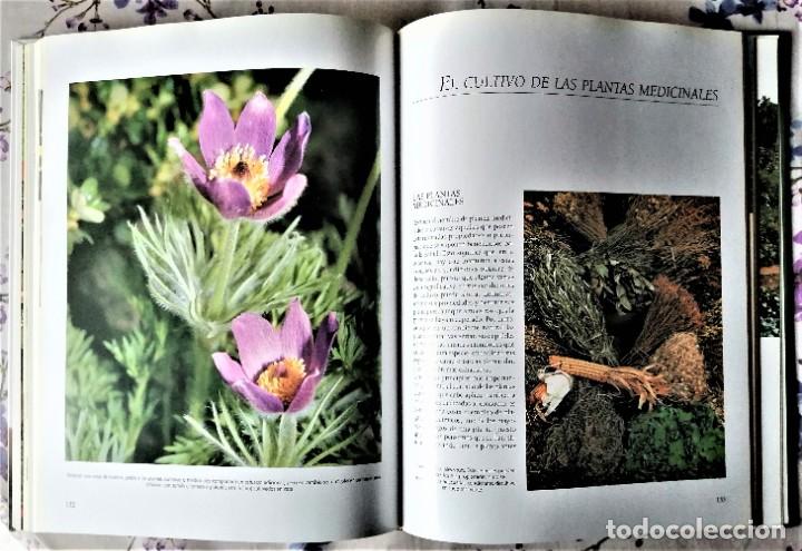 Libros de segunda mano: EL GRAN LIBRO DE LA JARDINERIA - Foto 6
