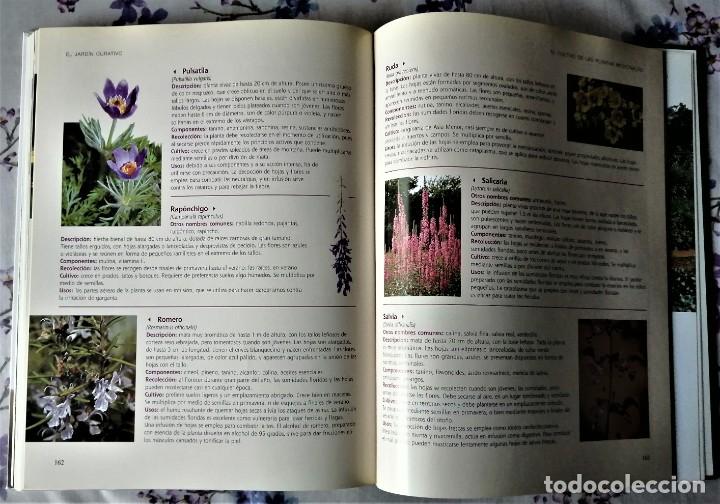 Libros de segunda mano: EL GRAN LIBRO DE LA JARDINERIA - Foto 8