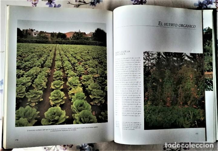 Libros de segunda mano: EL GRAN LIBRO DE LA JARDINERIA - Foto 9