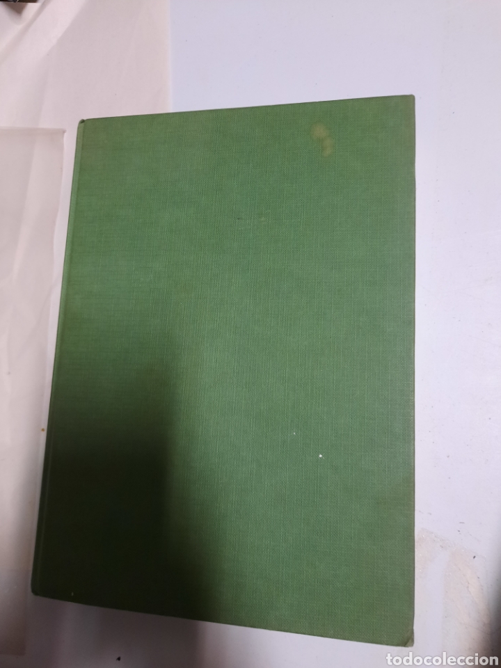 Libros de segunda mano: Diccionario de animales - Michael Chinery. Folio - Foto 2