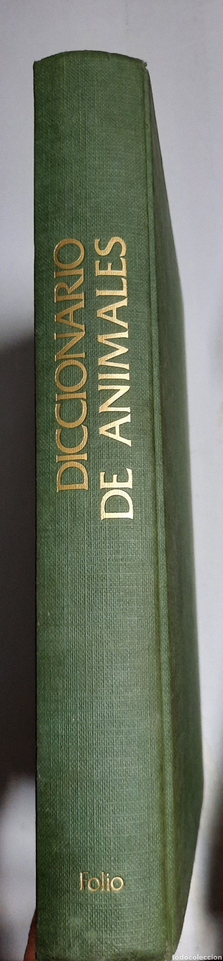 Libros de segunda mano: Diccionario de animales - Michael Chinery. Folio - Foto 3