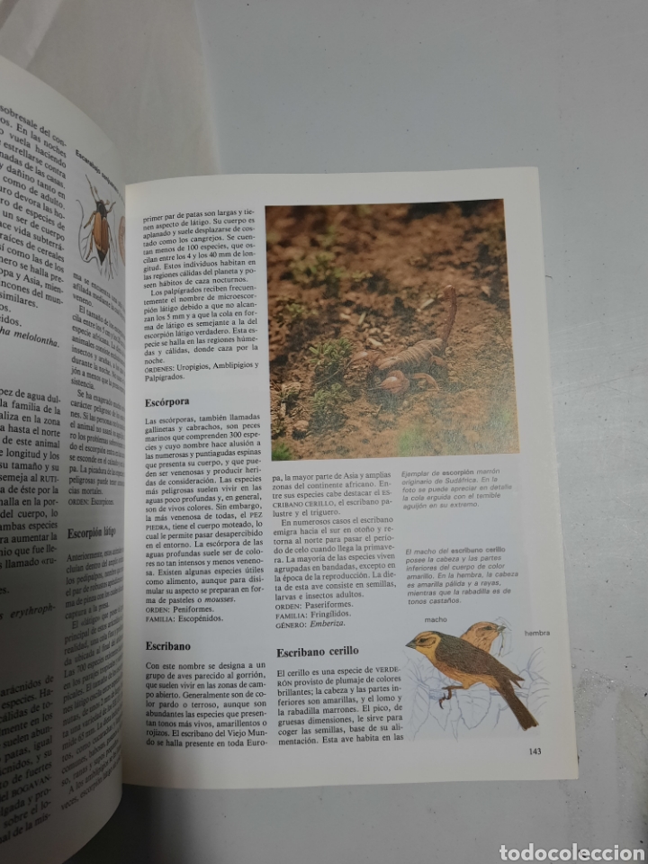 Libros de segunda mano: Diccionario de animales - Michael Chinery. Folio - Foto 4
