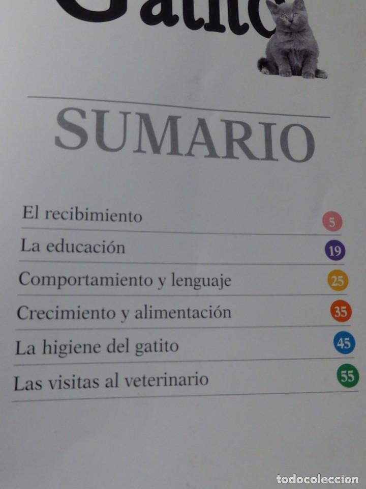 Libros de segunda mano: El libro del gatito. Royal Canin - Foto 2