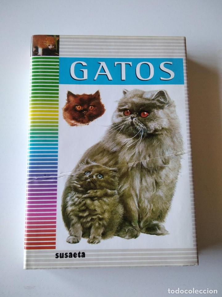 Libros de segunda mano: Gatos. Pintera, Albert (texto); Maget, Jan (ilustraciones) - Foto 1