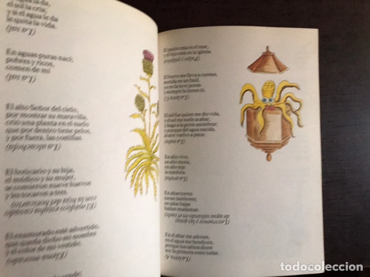 Libros de segunda mano: El libro de las adivinanzas. Carmen Bravo-Villasante - Foto 5