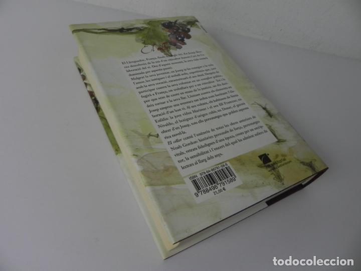 Libros de segunda mano: EL CELLER (NOAH GORDON) ROCA EDITORIAL-2007 4&ordf; EDICI&Oacute; (EN CATAL&Aacute;N) - Foto 5