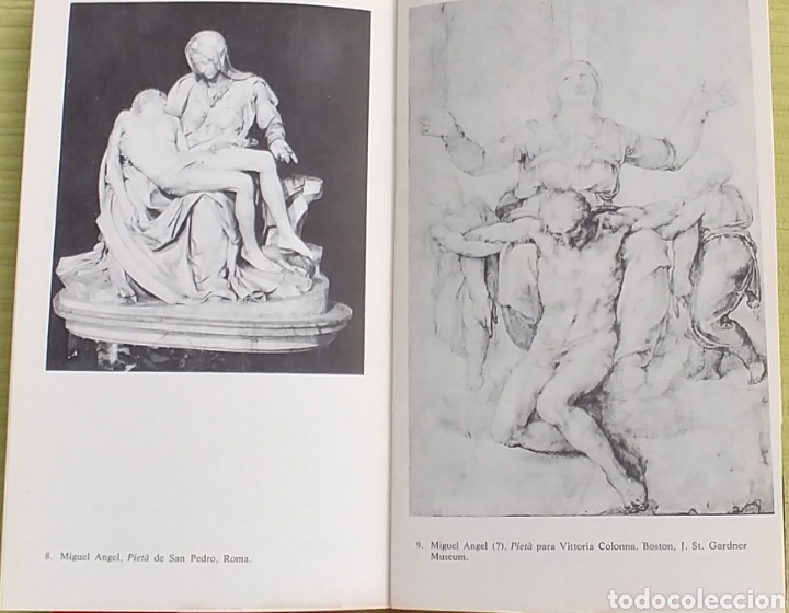Libros de segunda mano: MIGUEL ANGEL. LA PIEDAD DE FLORENCIA - Foto 5