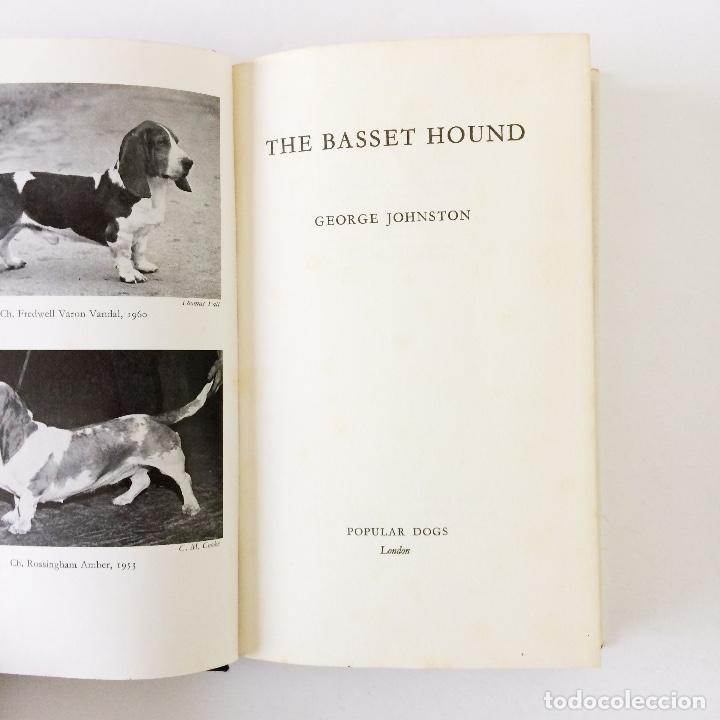 Libros de segunda mano: libro THE BASSET HOUND - GEORG JOHNSTON - texto en ingl&eacute;s - Foto 2
