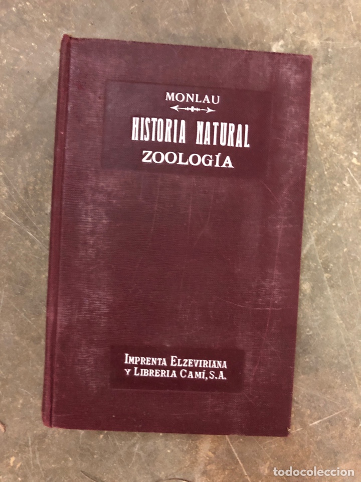 Libros de segunda mano: HISTORIA NATURAL ZOOLOG&Iacute;A - Foto 1