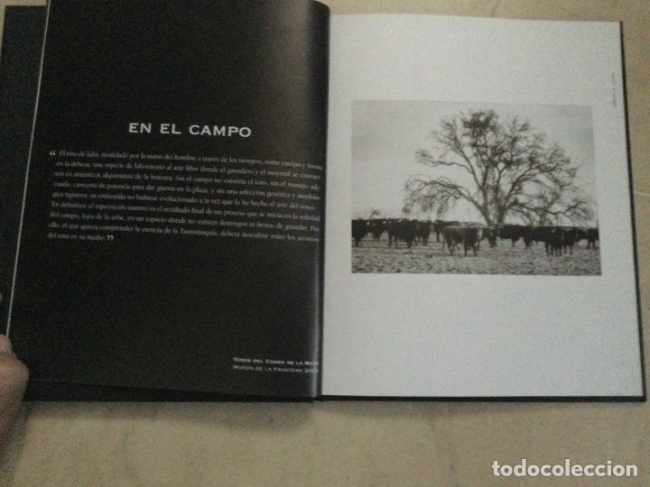 Libros de segunda mano: SOL Y SOMBRA. Isabel G&oacute;mez Gallego - Foto 2