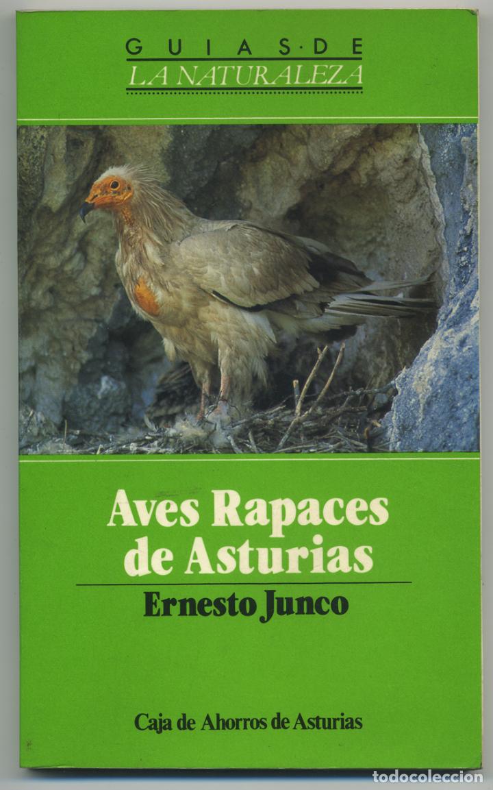 Libros de segunda mano: ERNESTO JUNCO: AVES RAPACES DE ASTURIAS. - Foto 1