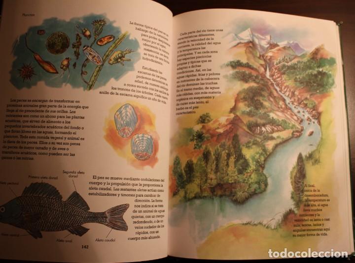 Libros de segunda mano: Mi amigo el bosque. Todolibro Ediciones. - Foto 3