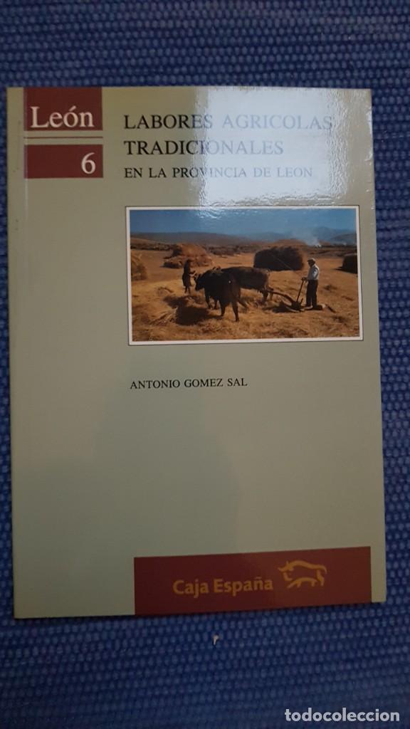 Libros de segunda mano: Labores agr&iacute;colas tradicionales en la Provincia de Le&oacute;n - Foto 1