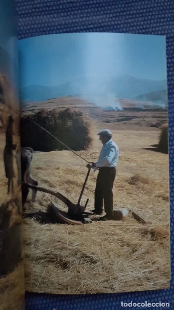 Libros de segunda mano: Labores agr&iacute;colas tradicionales en la Provincia de Le&oacute;n - Foto 2