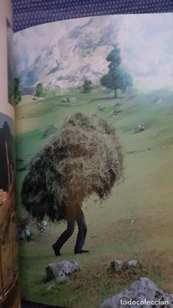Libros de segunda mano: Labores agr&iacute;colas tradicionales en la Provincia de Le&oacute;n - Foto 3