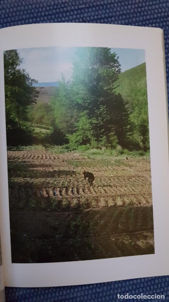 Libros de segunda mano: Labores agr&iacute;colas tradicionales en la Provincia de Le&oacute;n - Foto 4