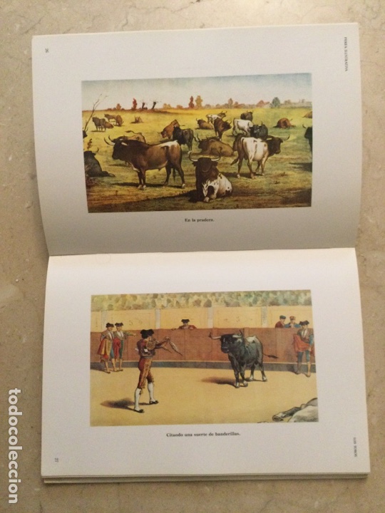 Libros de segunda mano: LOS TOROS. Perea Ediciones Ilustrativa - Foto 3