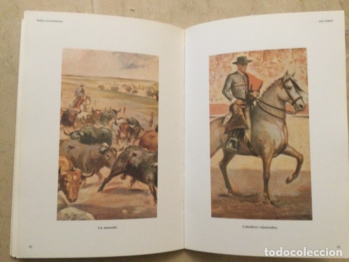 Libros de segunda mano: LOS TOROS. Perea Ediciones Ilustrativa - Foto 4