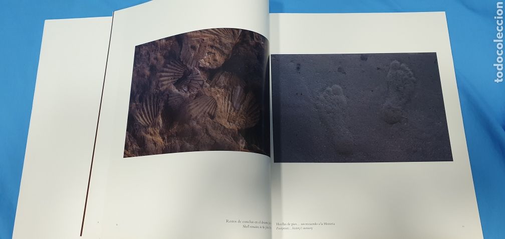 Libros de segunda mano: EL PRINCIPIO - THE BEGINNING - ALBERTO SCHOMMER - Foto 5