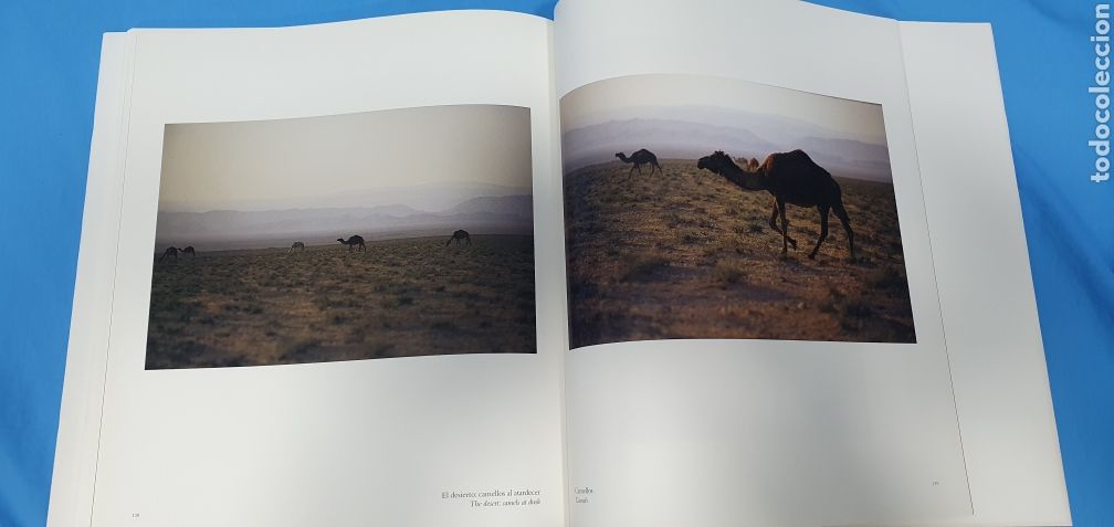 Libros de segunda mano: EL PRINCIPIO - THE BEGINNING - ALBERTO SCHOMMER - Foto 10