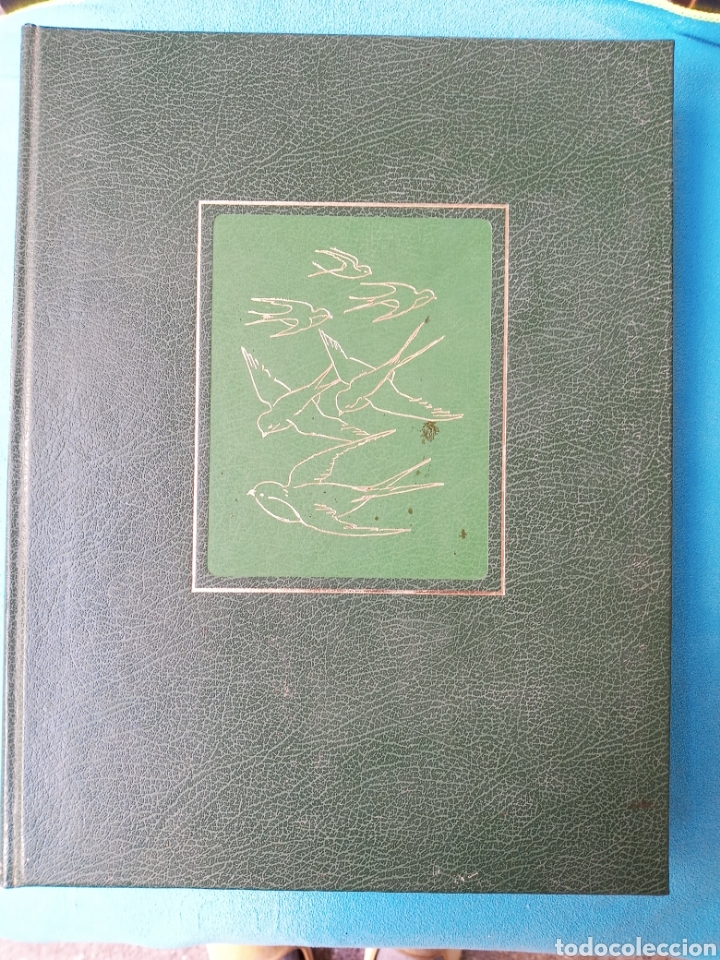 Libros de segunda mano: Vols Dorenetes - Francesc Bonaf&egrave; Barcel&oacute; - Foto 2
