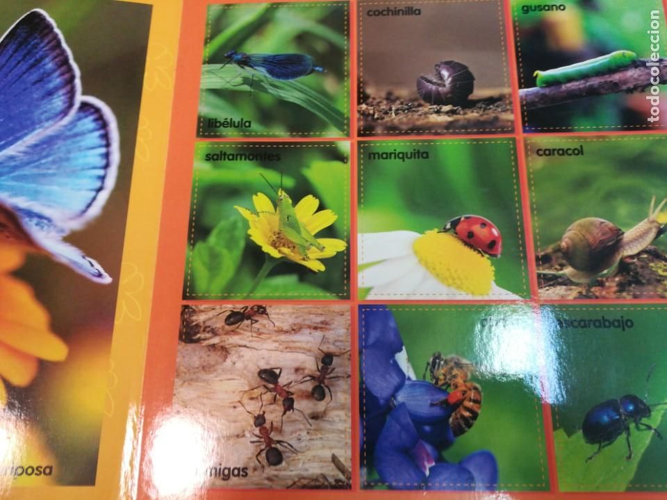 Libros de segunda mano: Crece aprendiendo. El libro de.... (las formas, los animales...) 6 Tomos SA2559 - Foto 3