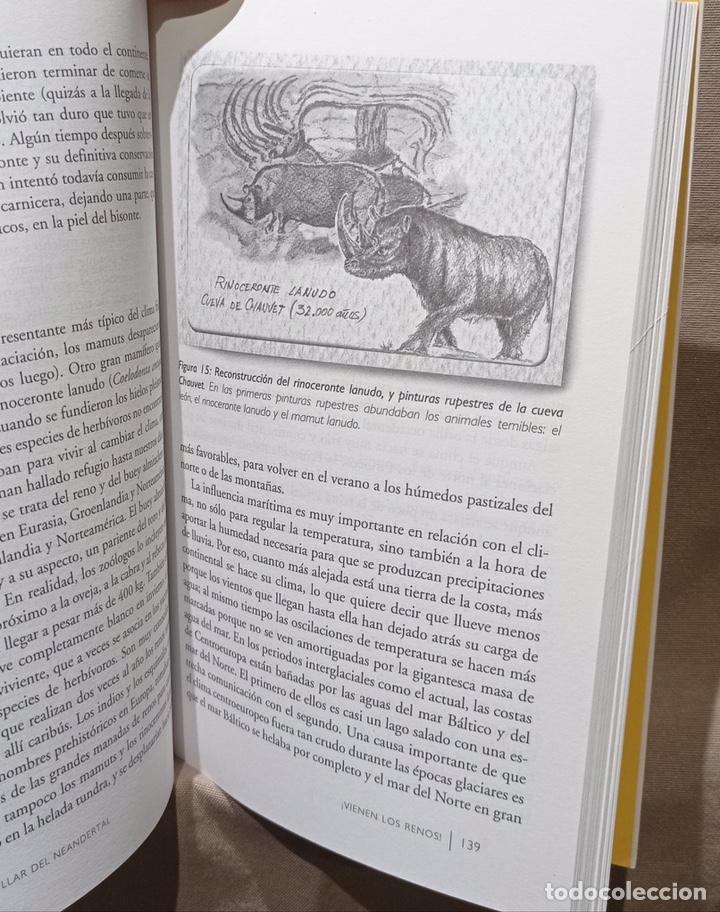 Libros de segunda mano: El collar del neandertal. Juan Luis Arsuaga. - Foto 2