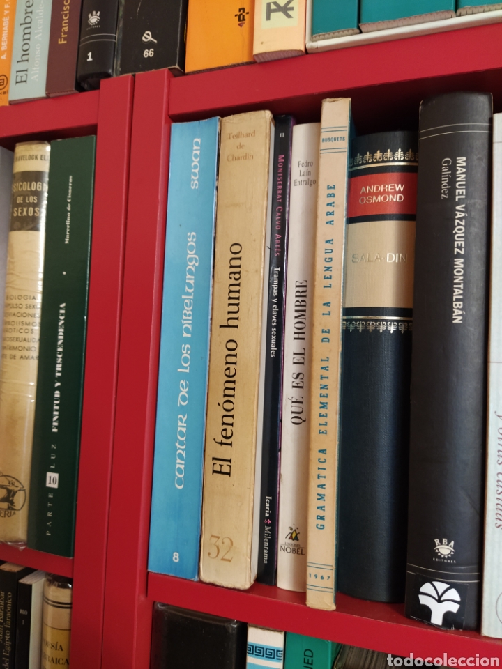 Libros de segunda mano: El fen&oacute;meno humano . Pierre Teilhard de Chardin. Taurus. - Foto 11