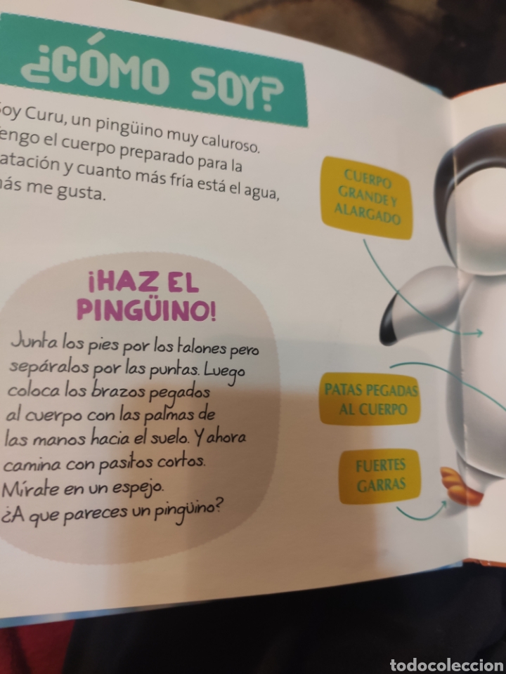 Libros de segunda mano: Curu el Ping&uuml;ino. RBA 2015. TAPAS DURAS - Foto 4
