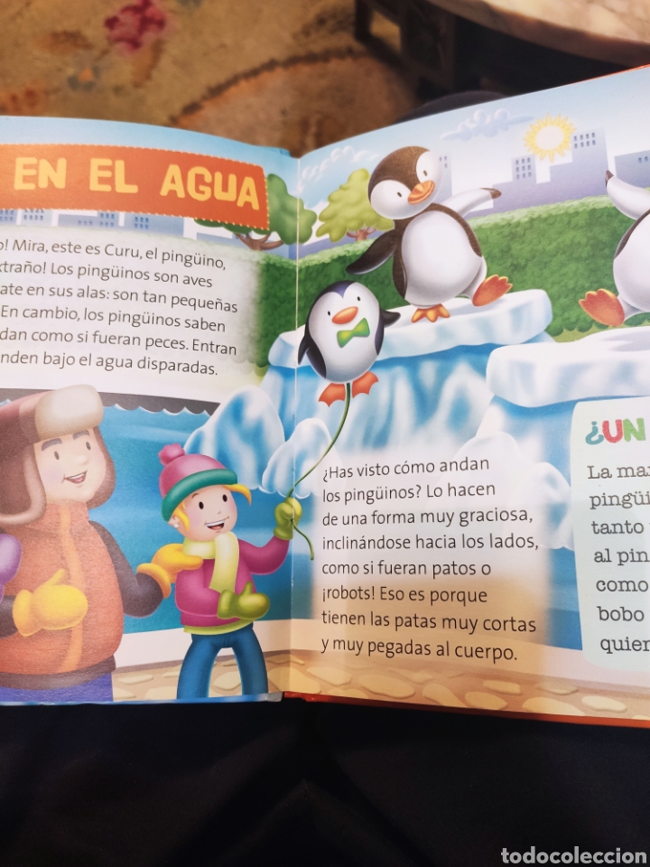 Libros de segunda mano: Curu el Ping&uuml;ino. RBA 2015. TAPAS DURAS - Foto 5