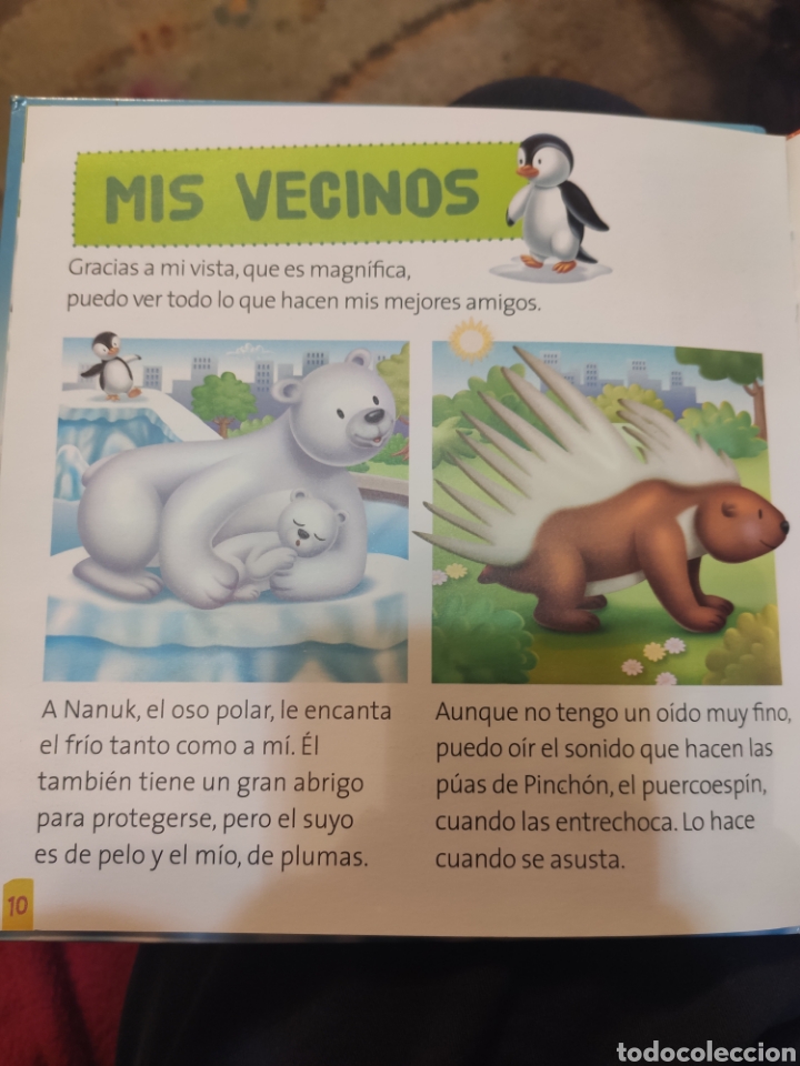 Libros de segunda mano: Curu el Ping&uuml;ino. RBA 2015. TAPAS DURAS - Foto 7