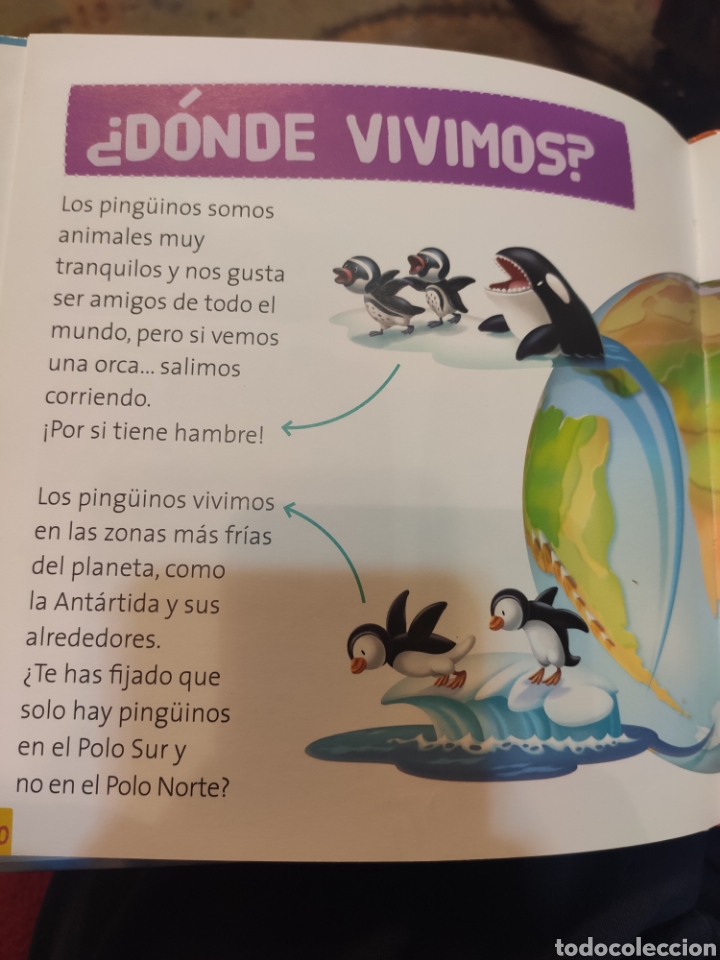 Libros de segunda mano: Curu el Ping&uuml;ino. RBA 2015. TAPAS DURAS - Foto 8
