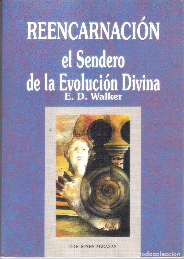 Libros de segunda mano: REENCARNACION. EL SENDERO DE LA EVOLUCION DIVINA. - E.D. WALKER - Foto 1