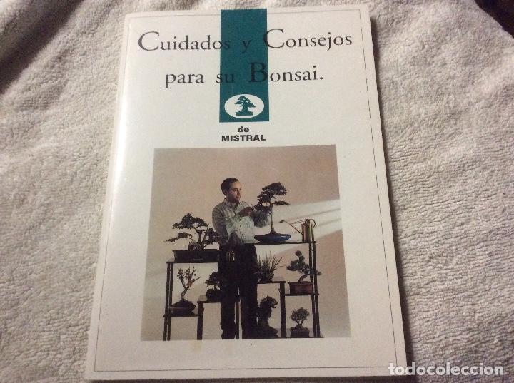 Libros de segunda mano: cuidados y consejos para su bonsai de mistral - Foto 1