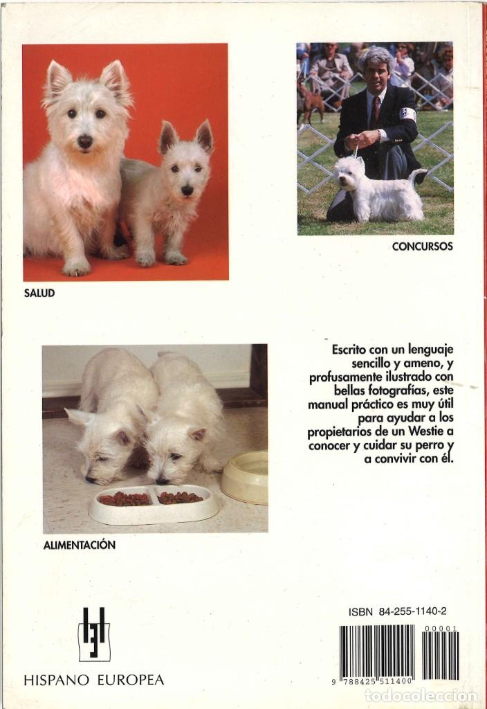 Libros de segunda mano: Manual pr&aacute;ctico del West Highland White Terrier. Hispano Europea. 2002 - Foto 2