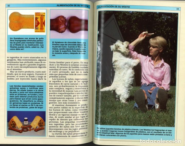 Libros de segunda mano: Manual pr&aacute;ctico del West Highland White Terrier. Hispano Europea. 2002 - Foto 3
