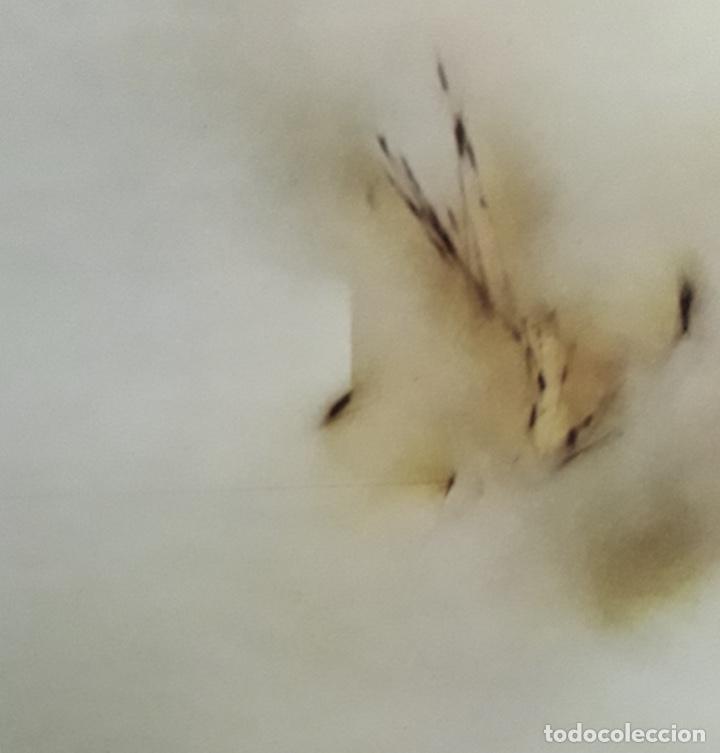 Libros de segunda mano: Museo de Arte Abstracto Espa&ntilde;ol. Cuenca - Foto 6