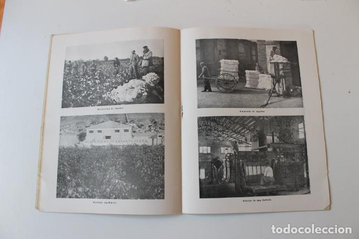 Libros de segunda mano: EL ALGODON. TEMAS ESPA&Ntilde;OLES, MADRID 1956 - Foto 6