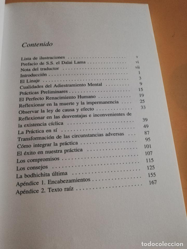 Libros de segunda mano: RAYOS DE SOL. GUESHE TAMDING GYATSO. EDICIONES AMARA. 1993. PAG. 174. - Foto 4