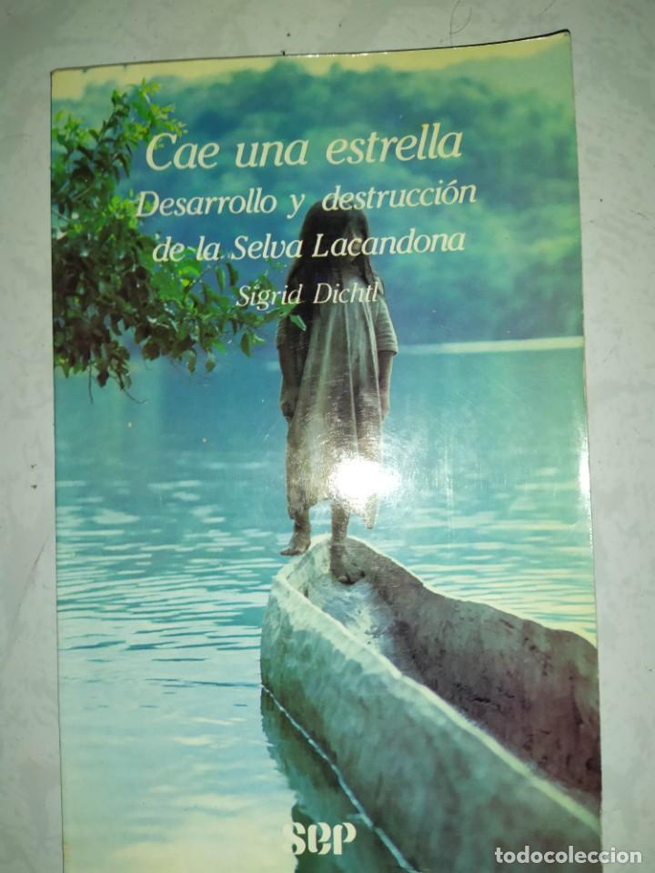 Second hand books: Cae una estrella: desarrollo y destrucci&oacute;n de la Selva Lacandona. Sigrid Diechtl