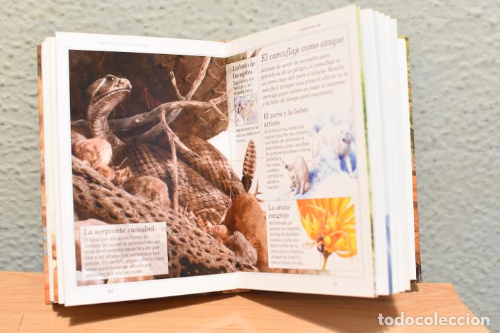 Libros de segunda mano: 365 CURIOSIDADES DE LOS ANIMALES - Foto 2