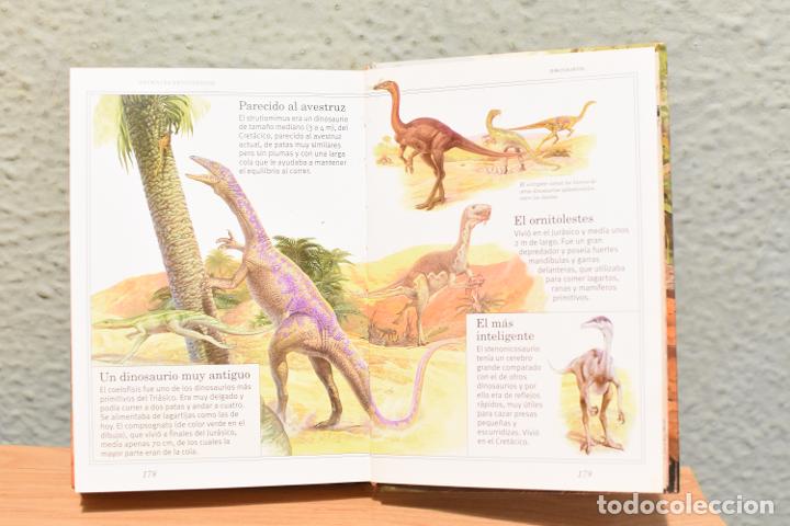 Libros de segunda mano: 365 CURIOSIDADES DE LOS ANIMALES - Foto 3