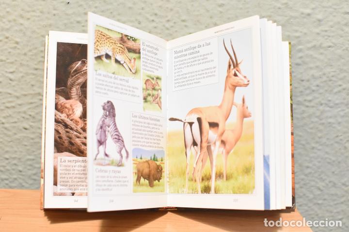 Libros de segunda mano: 365 CURIOSIDADES DE LOS ANIMALES - Foto 4