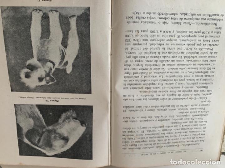 Libros de segunda mano: El perro, en el campo u en el hogar (Bol, 1) - Foto 3