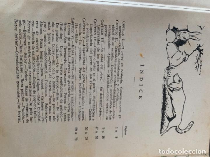 Libros de segunda mano: El perro, en el campo u en el hogar (Bol, 1) - Foto 6