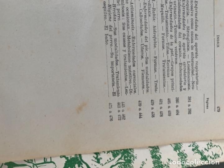 Libros de segunda mano: El perro, en el campo u en el hogar (Bol, 1) - Foto 8