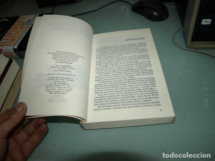 Libros de segunda mano: Edmund Chessi,Hierbas que curan, Editorial Altorrey - Foto 2