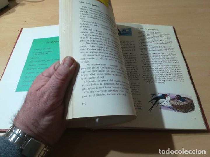 Libros de segunda mano: DIME CUENTAME / VV / AA / ARGOS / AC206 - Foto 16
